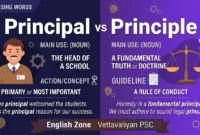 Principal vs Principle